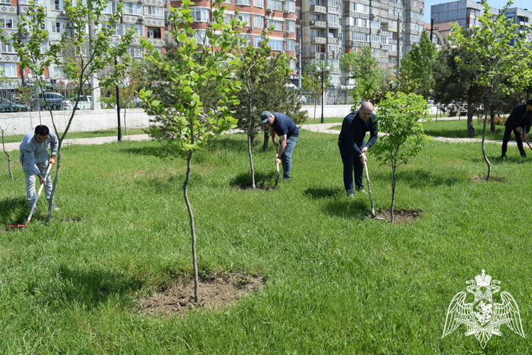 В Дагестане росгвардейцы приняли участие в общереспубликанском субботнике 