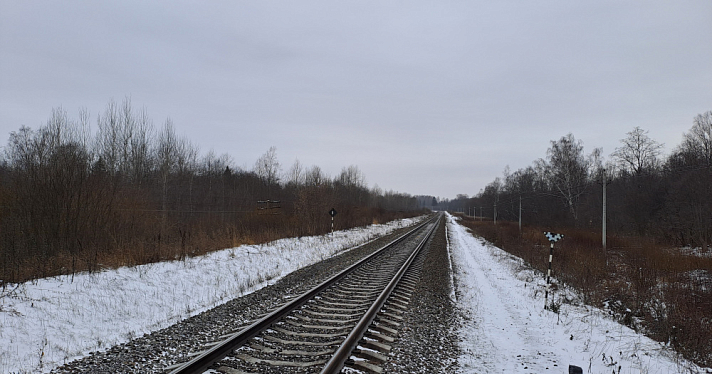 Ярославская область останется без высокоскоростных поездов