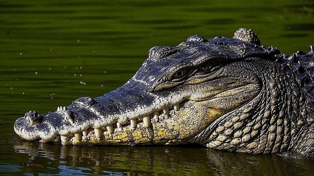 Изображение создано при помощи ИИ