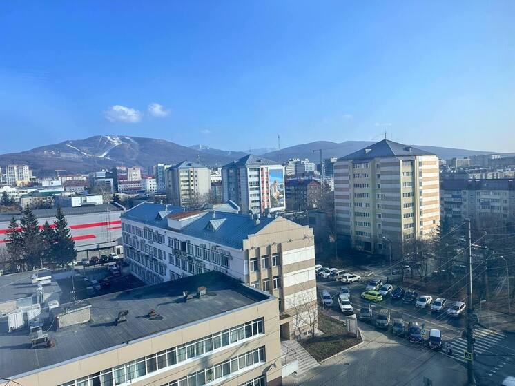 Учёные нашли в сахалинских водах потенциальную замену опасным обезболивающим