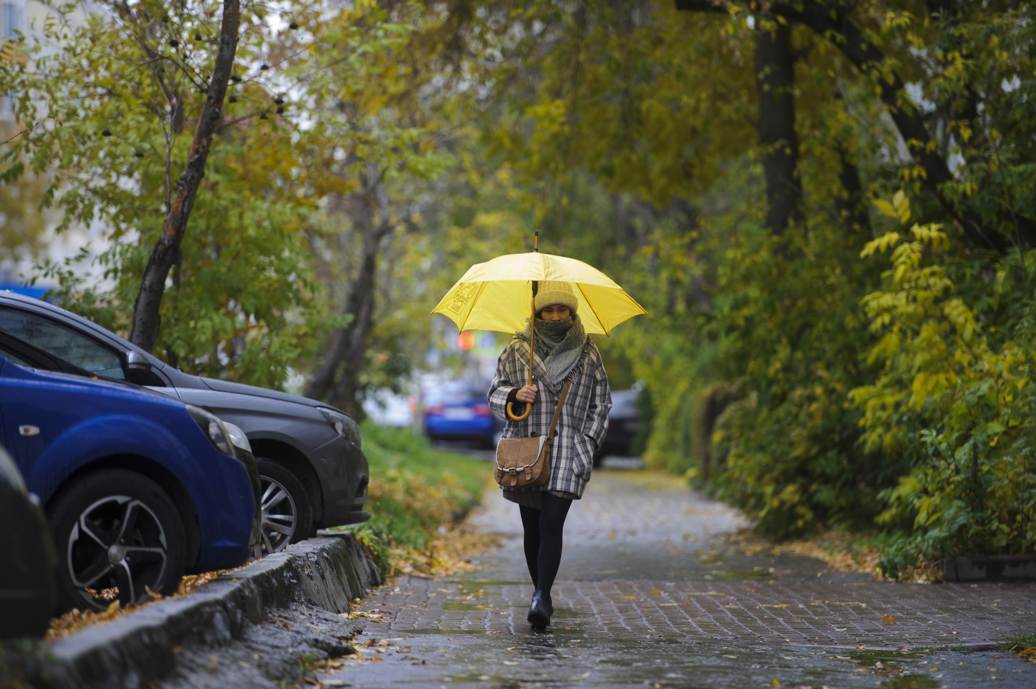 Сегодня какая погода дождь есть. Осеннее похолодание. Ливни. Дождливая погода. Похолодание осенью.