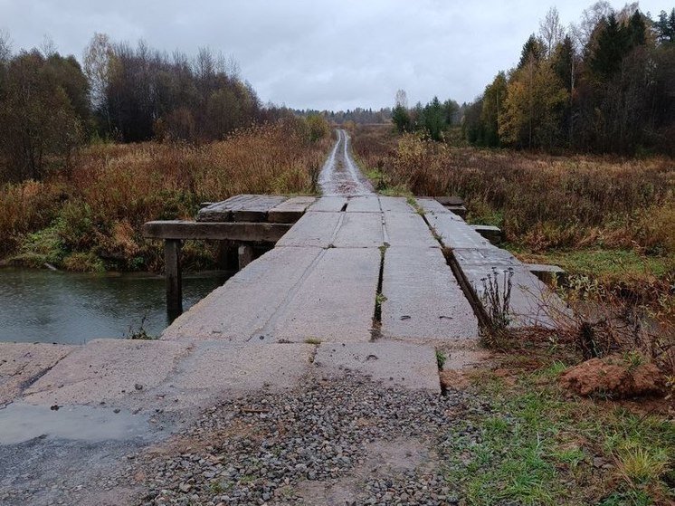 В Ярославской области прокуратура требует отремонтировать мост на сельской дороге