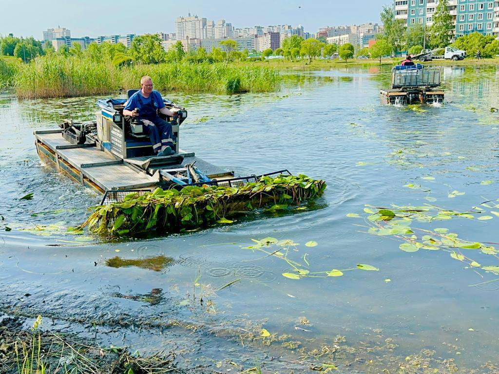 Проект по очистке водоема