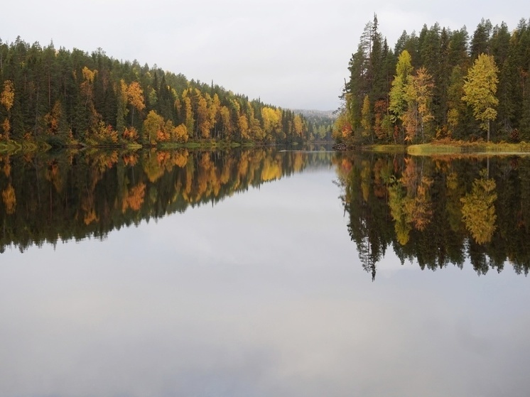 Гора пуйронмяки Карелия