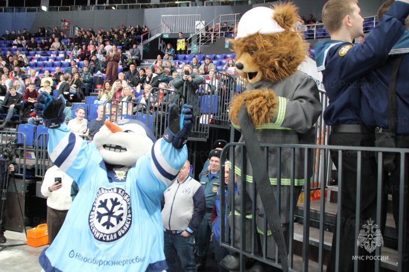 Спорт, единство, мастерство: в Новосибирске завершился турнир по хоккею с шайбой