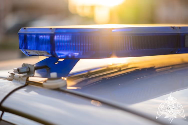 В Темрюке росгвардейцы выявили женщину, разыскиваемую за кражу