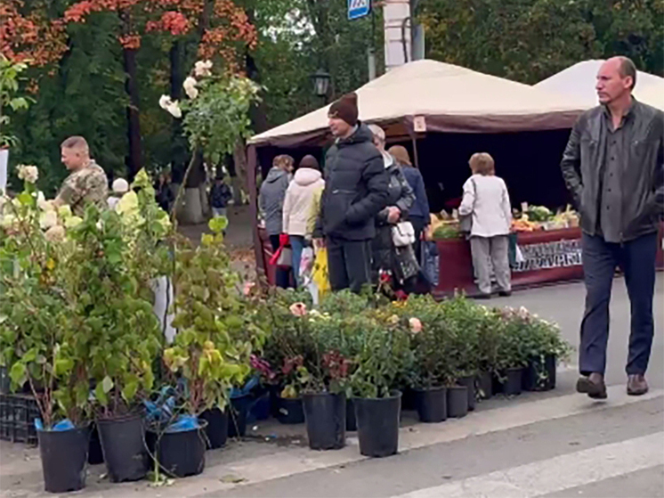 Осенняя ярмарка в Калуге ждёт гостей