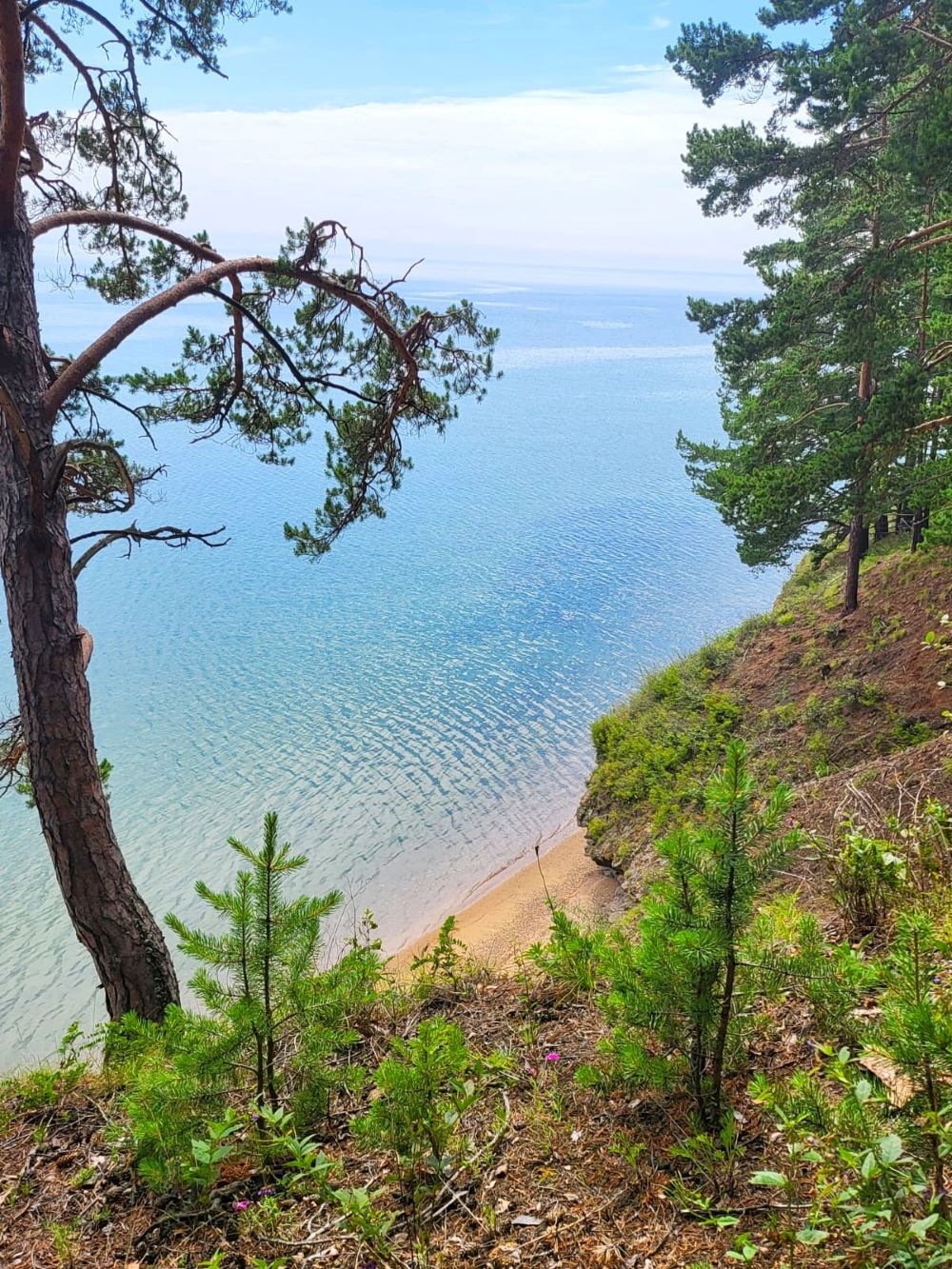 baikal leto bbt nia