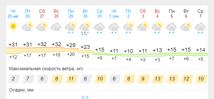 Прогноз погоды рязань. Термометр 30 градусов тепла. Погода пасмурно + гроза.