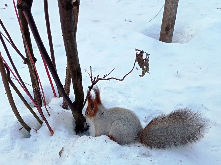 Ущербные мемы. Ущербные мемы. Ущербные подражатели. Тётушка непогодушка из сказки марья искусница. Ущербные 6.
