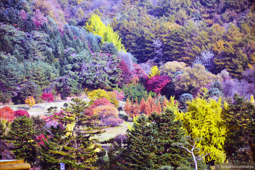 Танпхун - фольклор, этнография и лесной храм