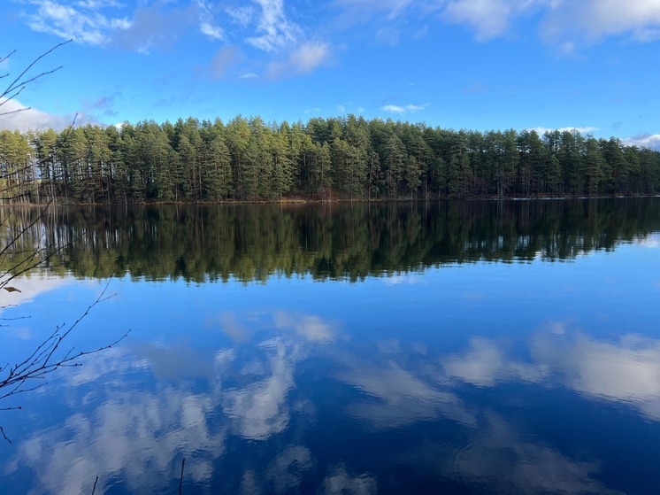 В Тверской области прокуратура запретила гражданину застраивать берег у водохранилища