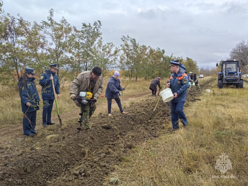 Сотрудники МЧС России приняли участие во Всероссийской акции «Сохраним лес»