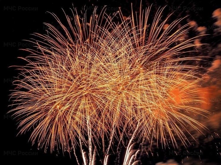 Спасатели напомнили калужанам размер штрафов за пиротехнику на Новый год
