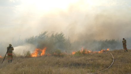 Высокий уровень пожароопасности установился в 17 районах Воронежской области из-за жары