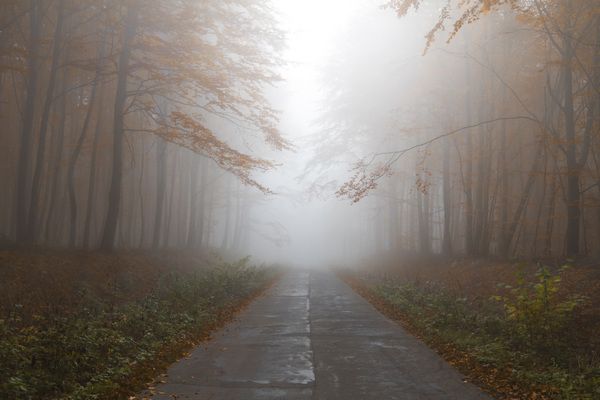 В Брянской области объявлен желтый уровень погодной опасности из-за грозы и тумана