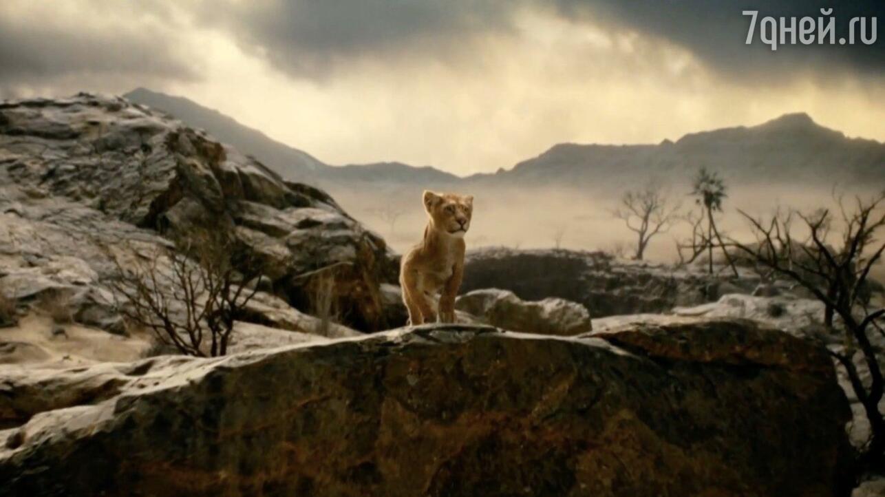 кадр из фильма «Муфаса: Король Лев», 2024 фото