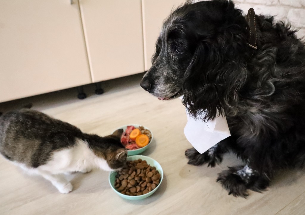 место встречи телепередача сегодня смотреть. ток шоу 60 мин ольга скабеева. канал 60 минут. 60 минут последний выпуск 25 12. 60 минут сегодняшний выпуск.