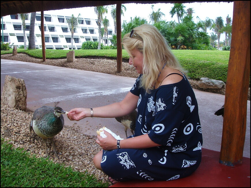 Древность и современность в Канкуне
