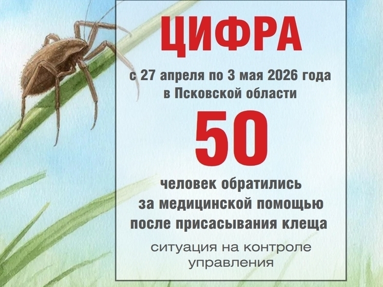 С начала сезона клещи укусили 231 жителя Псковской области