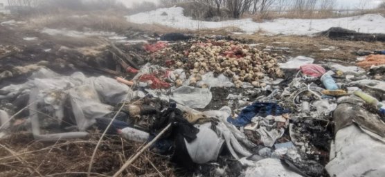 На 1,3 миллиона рублей оштрафована за незаконную свалку колония на Камчатке 1