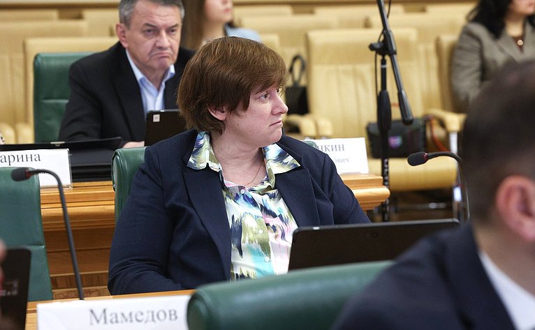 Заседание Комитета Совета Федерации по бюджету и финансовым рынкам