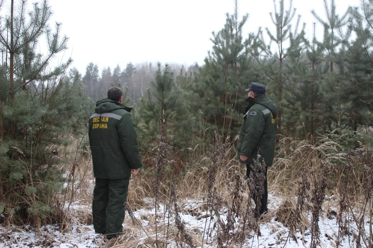 2b688222 13ea 4243 b52b 0cc219601631