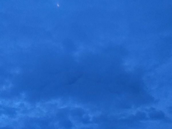 В Первомайском районе Ростова обнаружили обломки БПЛА