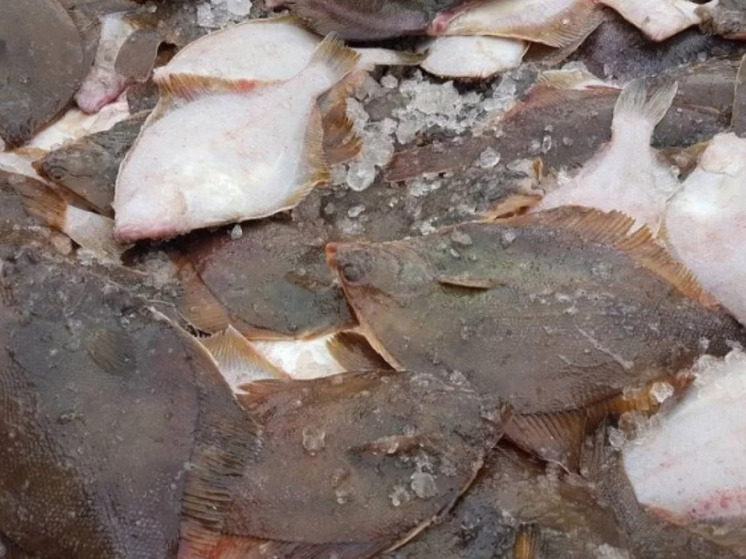 Свежую рыбу по фиксированным ценам продают в Южно-Сахалинске 13 декабря: адреса