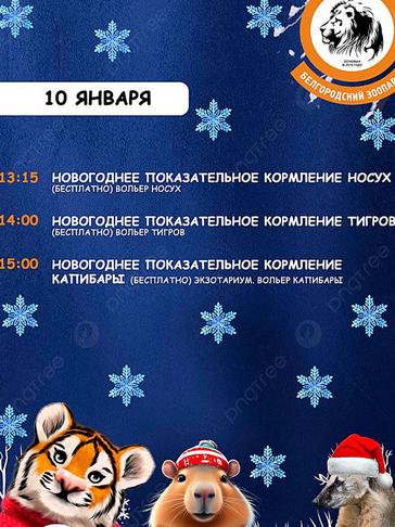 Как отдохнуть белгородцам 8–11 января - Изображение 3