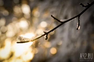 Фото: Сретение Господне: народные приметы на 15 февраля 1