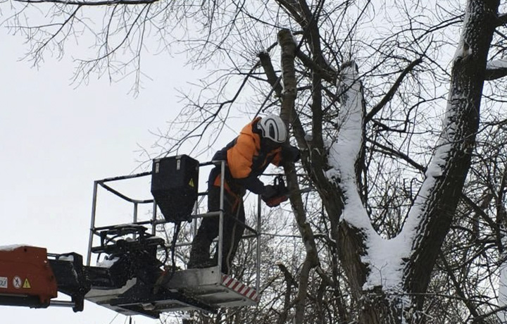Спасатели в Донском убрали больше десятка аварийных деревьев