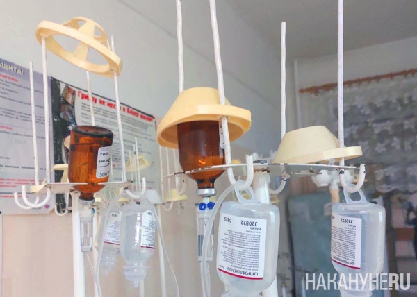 Фото: Накануне.RU