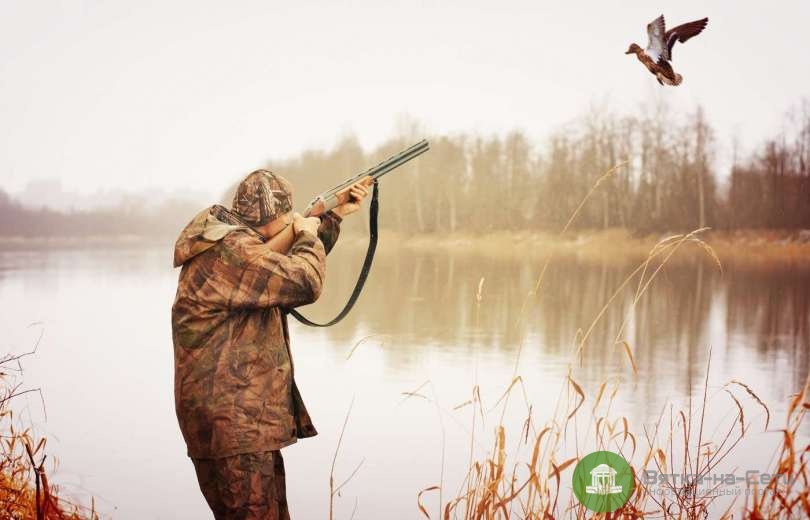 Весенняя охота в Кировской области 2024: Открытие, сроки, путёвки и правила