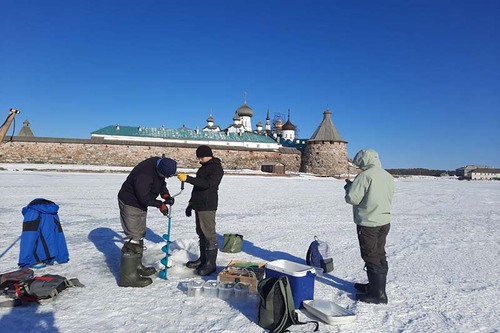 Ледовый покров на Соловках