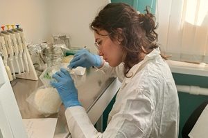 Высшая школа экономики: практика магистров-биоинформатиков в ВИР была вдохновляющей
