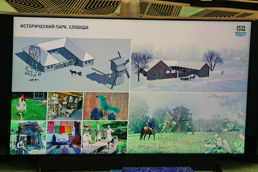 Парк усть тула в новосибирске. Мост на остров русский. Усть тула новосибирская область. Парк усть тула в новосибирске. Мисти парк тула.