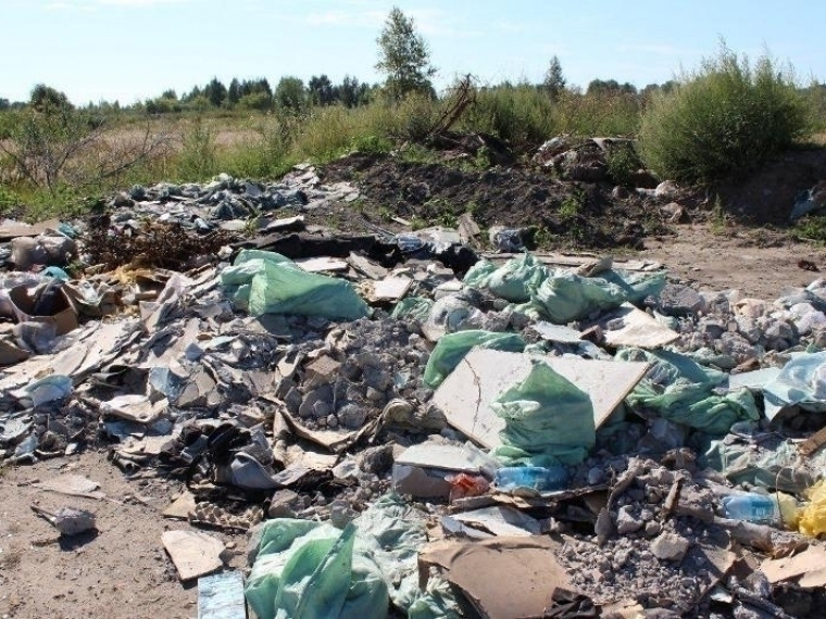 С начала года омичей оштрафовали за незаконный сброс мусора на 2,7 млн рублей