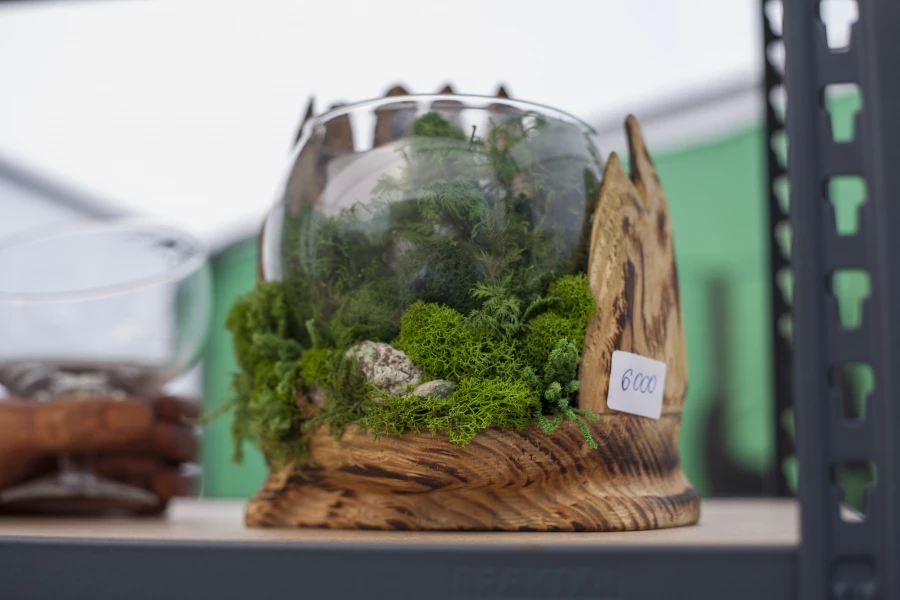 Завершение Шукшинского кинофестиваля в Сростках.