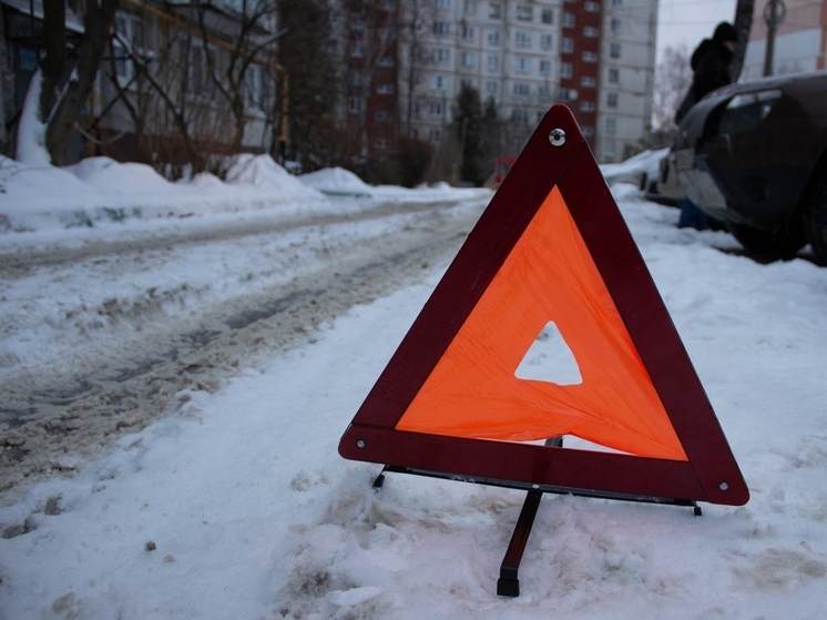 На трассе М-2 «Крым» в Щёкинском районе сбили лося