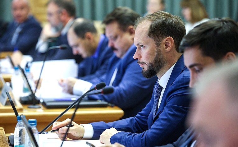 Заседание Совета по вопросам интеграции воссоединенных субъектов Российской Федерации в правовую и социально-экономическую системы Российской Федерации при Совете Федерации