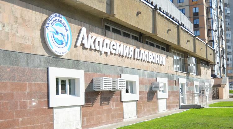Водная перезагрузка. Старооскольская Академия плавания готовится воспитывать чемпионов