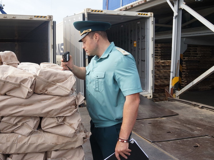 Сахалинские таможенники оформили 1,2 тыс. тонн товаров первой необходимости за шесть месяцев 2023 года
