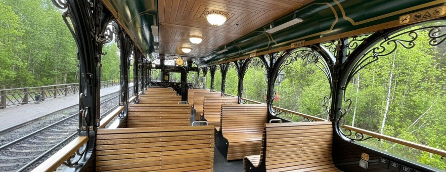 Нерпочка сортавала. Ладожская нерпочка сортавала расписание. Ладожская кольчатая нерпа. Снежногорск нерпа памятник. Ладожская нерпочка.