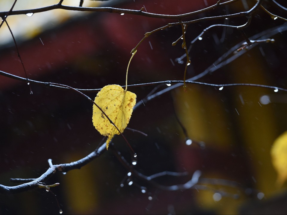 Ученые составили карту рисков: что грозит столичному региону из-за изменений климата