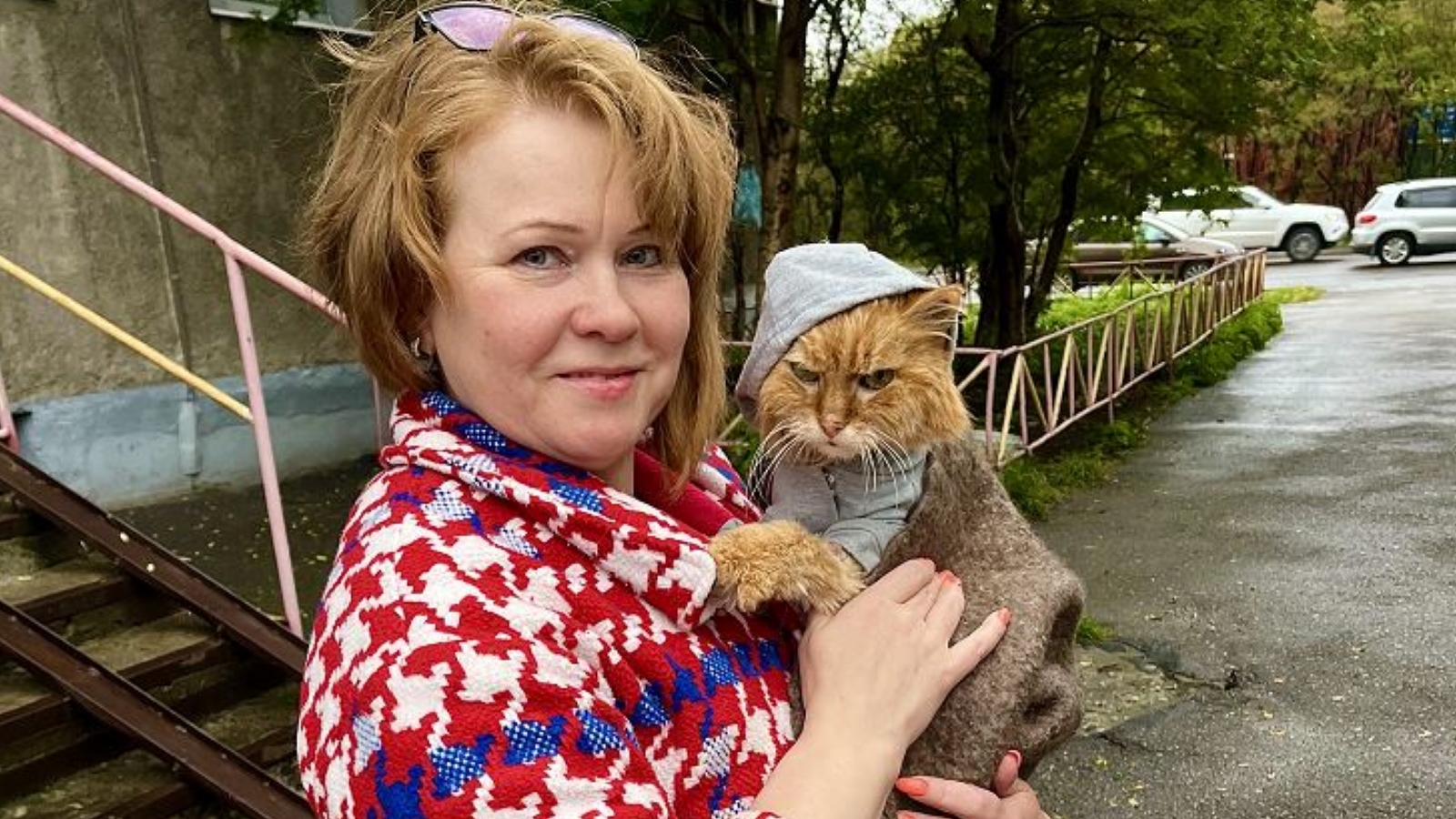 Жалкий котик