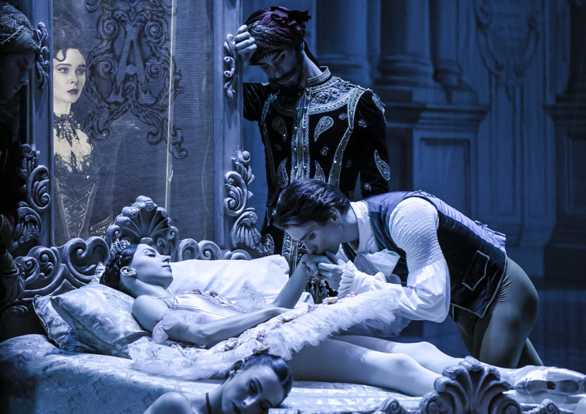 «Спящая красавица»