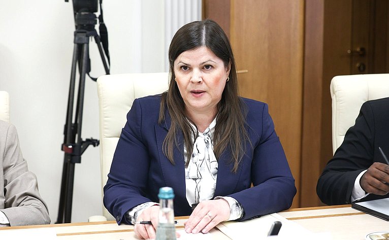 Встреча первого заместителя председателя Комитета СФ по международным делам Андрея Денисова с Министром транспорта, городского развития и по вопросам автомагистралей Шри-Ланки Бималом Нирошаном Ратнаяке Виракуном