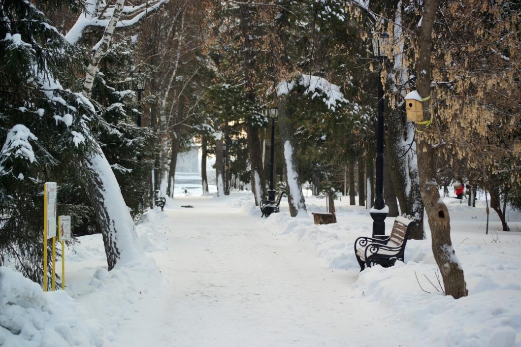 Менделеев парк тобольск проект