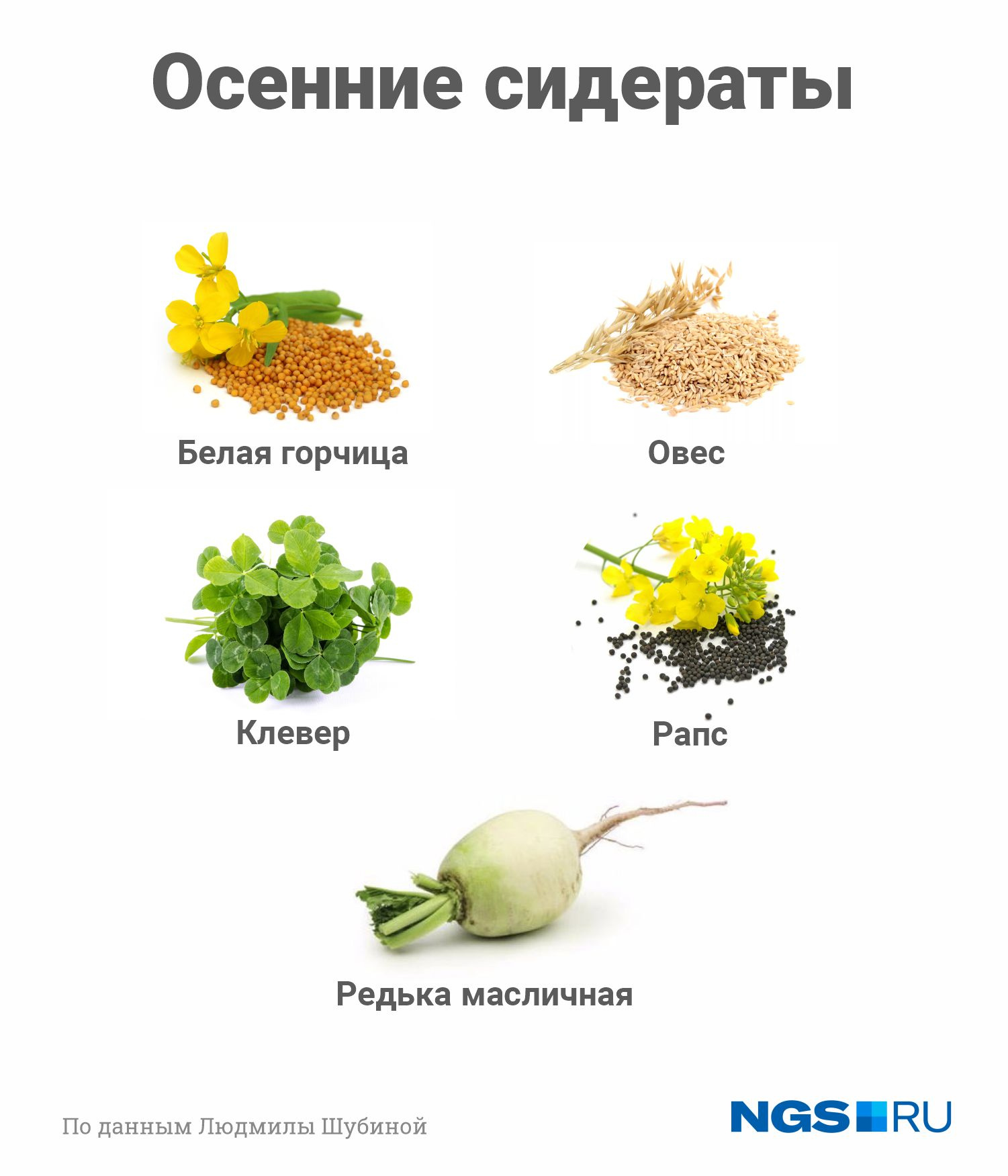 Делаем землю плодородной: как быстро восстановить почву после сбора ...